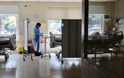 INGENIEROS CHILENOS PREPARAN SOFTWARE PARA SIMULAR DESASTRES EN LA RED DE SALUD