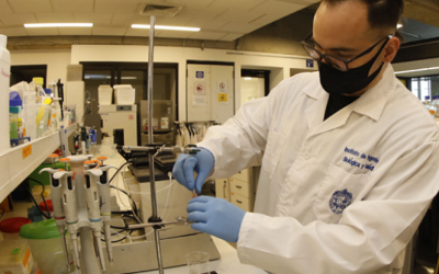 CIENTÍFICOS MOSTRARON LOS ÚLTIMOS HALLAZGOS DE BACTERIAS Y MICROORGANISMOS “COME PLÁSTICOS”