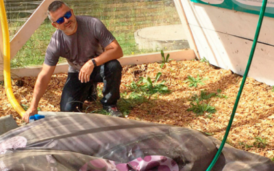 TECNOLOGÍA “POKEMONA” PARA PRODUCIR GAS ENTRE LAS BIOENERGÍAS DEL CONTINENTE