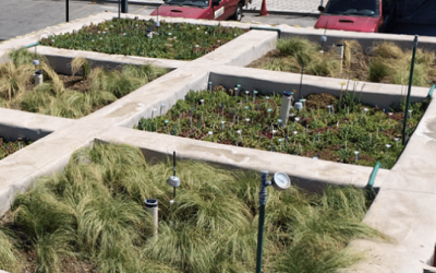 TECHOS Y MUROS VEGETATIVOS PROTEGERÍAN A CHILE DE INUNDACIONES